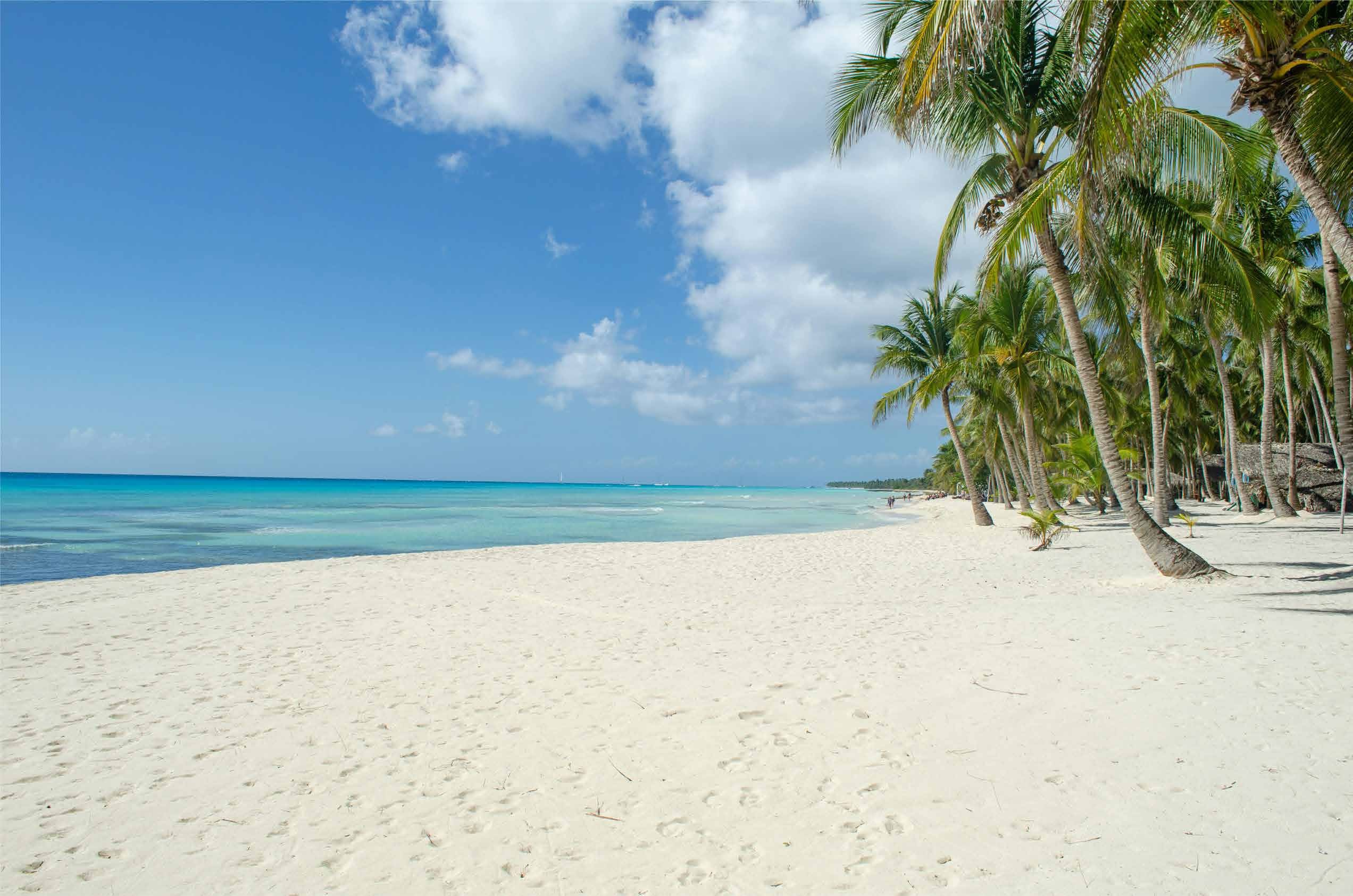 Fotografía de una playa de Cap Cana, no de Andara: arena blanca, palmeras y aguas turquesa poco profundas; Juanillo queda a unos 10 minutos del proyecto en coche.